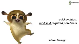SPEED-RUNNING module 4 REQUIRED PRACTICALS (OCR A A-LEVEL)