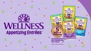 Wellness Appetizing Entrees | Wellness Pet
