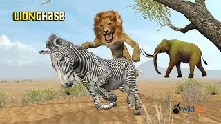 Hunting Lion: Advanture Kill A Baby Elephant - IOS Gameplay |Newbie Gaming