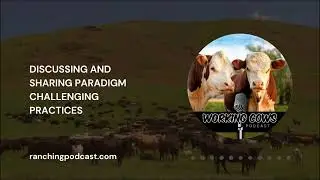 Ep. 298 &ndash; Dawn Hnatow &ndash; Changing Stockmanship | Working Cows