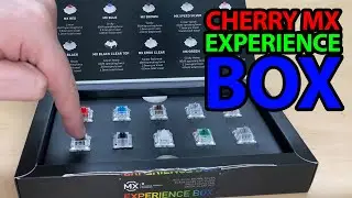 Распаковка и тестирование: Cherry MX Experience Box — какой коммутатор подойдет именно вам?