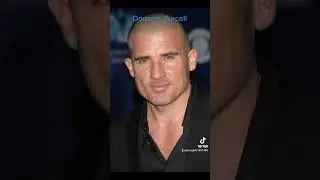 Dominic Purcell... #reels