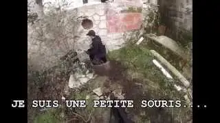36ieme compagnie - WILDTRIGGER -