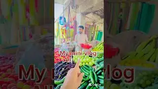 How to mini new vlog video #foryou #minivlog #vlog #newvlog #shortsvideo @MrBean @MrBeast2