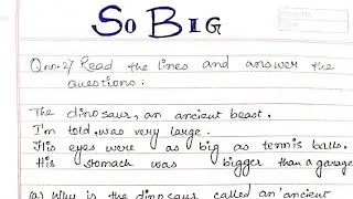 SO BIG||POEM ||BACK EXERCISES||CLASS 3||ICSE NEW MULBERRY ENGLISH LITERATURE BOOK