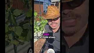 Building a homesteading and farming community together 💞