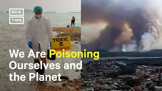 How Chemical Pollution Affects Life on Earth