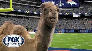 Geico Camel is the new FOX Sports sideline reporter | Part 2