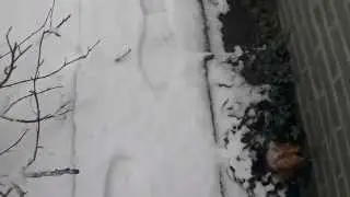Voetstappen in de sneeuw.