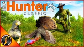 Whitehart Island Competition Trophy Hunting with Our Scent Hound!