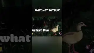 Hatchet Hitbox Moment