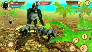 Wild Panther Sim 3D - Android GamePlay