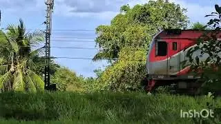 รถเร็ว169​ ชนเดอะมอ​ โค้งก่อนเข้าสถานีรถไฟพัทลุง​ 31/8/68​ @fishingtrain7175 