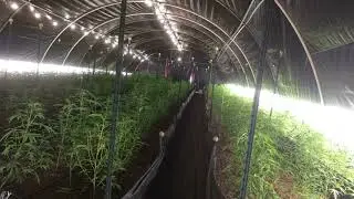 Light Dep Time Lapse