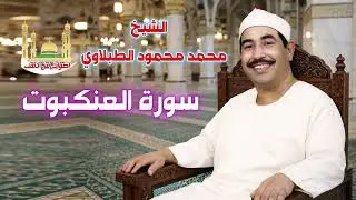 الشيخ محمد محمود الطبلاوي 👍 سورة العنكبوت