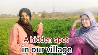 A Hidden Spot in Our Village😳 | Village Life Vlog | Punjabi Family Vlogs ll @Nasra_Brand