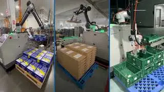 Robots and Cobots for Handling and Palletizing