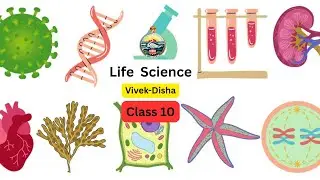 Chromosome & DNA | Life Science | Class-10 | Vivek-Disha | RKMVERI-2026-01-20