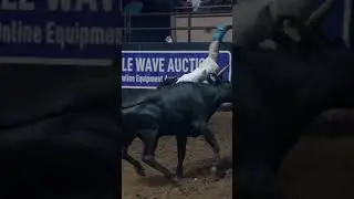 MEXICAN OT HIT BY BULL #cowboys #ultimatebullfighters