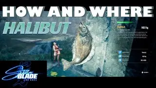 Stellar Blade Halibut fishing location, requirements, and technique. Eidos 7