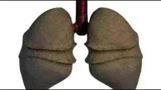 The Dirty Truth About Smoking