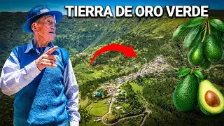Añancusi: el ÚNICO PUEBLO BENDECIDO de los ANDES del PERÚ, donde la TIERRA lo da TODO | DOCUMENTAL