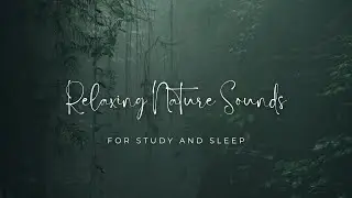 Relaxing Nature Sounds For Study And Sleep