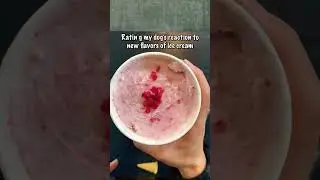THE FAMOUS Cactus Raspberry Ice Cream 🌵🐶