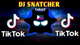 DJ SAD BASS - SNATCHER X COKIEZ TIKTOK TREND (SLOWED BASS ANALOG) 2024 REMIX