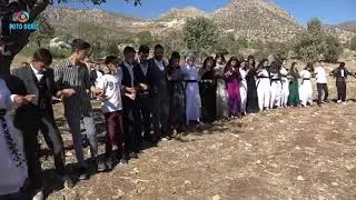 SELMAN CİZİRİ ZEKİ VURAL DÜĞÜNÜ ŞEREFİ KÖYÜ ( KAYA BOYUN / ŞIRNAK ) PART : 4