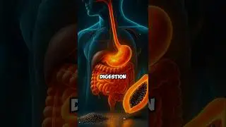 Top Foods For Better Digestion🤯  #healthtips #digestion #shorts