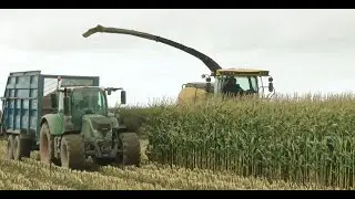 Maize Harvest '25 - Anglesey Gets on With It!  With New Holland FR 920 Chopper.