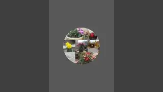 A&P_gardening  is live! welcome to my live my youtube family night live