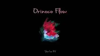 Orinoco Flow - Enya Instrumental Cover (Shar Lee RV)