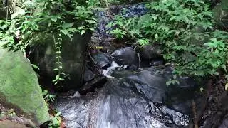 Balade au Mont Grand Matoury