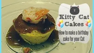 Kitty Cat Cakes - How to make a birthday cake for your Cat!