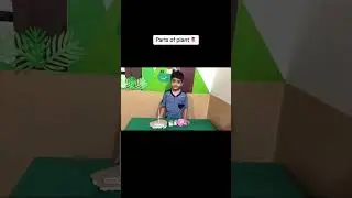 Parts of plant| parts of plant activity|roots,stem,leaf,flower@OnlineLearningForKids