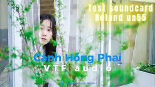 H&aacute;t Thử C&aacute;nh Hồng Phai | Test Soundcard Roland UA-55