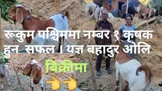 #One of the best farmer at chautara#Jhalak Chand#Vloger#Viral#