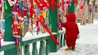 当雪花飘落，你就会遇见中国古建筑延续千年的美