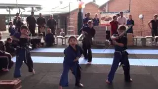 FFMAC Extreme Demo Team Compilation 2011.mp4