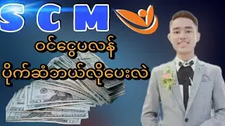 SCM myanmar ဝင်ငွေပလန်ပိုက်ဆံဘယ်လိုပေးလဲ