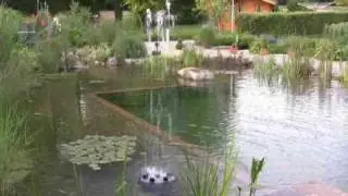 OASE Water Trio & Quintet Pond Fountains | Pondliner.com