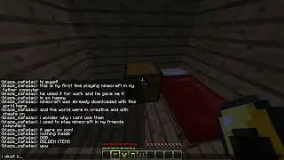 First time playing Minecraft
