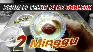 EKSPERIMEN RENDAM TELUR DALAM OOBLECK 2 MINGGU 💧 soak eggs 2 weeks with oobleck - #EKSPERIMEN