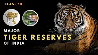 Map - Major Tiger Reserves of India I 10th Board I (CBSE & RBSE) #map