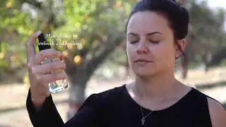 Application of an evanhealy HydroSoul