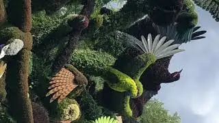 Inside Jacques Cartier Park (VLOG)