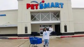 Inside my Wild Snake Shopping Adventure
