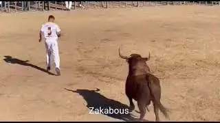 Toros- Recortes,Quiebros y Saltos